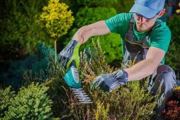 landscaping services Strasburg